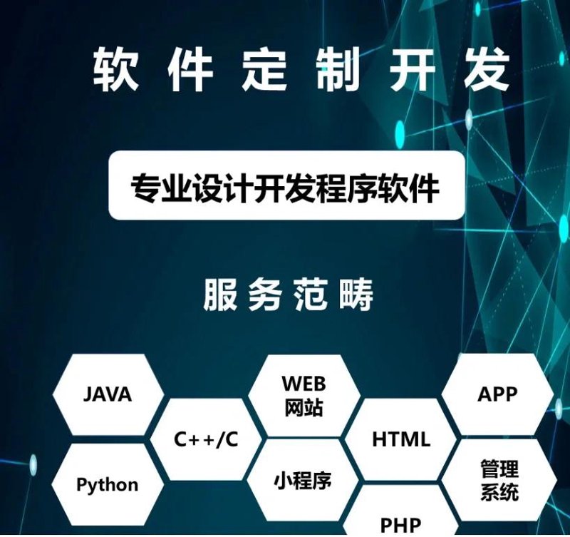 软件定制开发:创新业务的新引擎